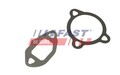 FAST Dichtungssatz AGR-System FT50606 für VW EOS 1F7 1F8 NEW BEETLE 1Y7 GOLF 5 1