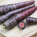 200 Samen Lila Möhre Cosmic Purple Möhren Karotten Mischung