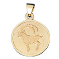 JOBO"30768"Anhänger Sternzeichen Steinbock 333 Gold Gelbgold matt Sternzeichenan