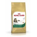 Royal Canin Maine Coon | 2kg Kroketten Katzenfutter