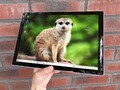 Microsoft Surface Pro 7 Tablet 12.3" i5-1035G4 8 GB 128 GB Windows|(mit Rissen)