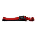 Wolters Professional Comfort Hundehalsband Halsband