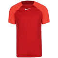 Nike Performance Academy Pro Trainingsshirt Herren NEU
