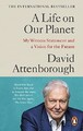 A Life on Our Planet: My Witness Statement and a Vision for the Future by David