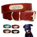 Weiches Leder Personalisiertes Hundehalsband mit Namen und Telefonnummer Gravur