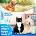 Kühlmatte Kühlkissen Hunde Katze Selbstkühlende Abkühlung Kühldecke Matte XXL DE