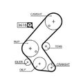 1x Zahnriemen GATES 5563XS passend für ISUZU OPEL VAUXHALL CHEVROLET