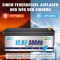 12V 300Ah Lithium Batterie LiFePO4 Akku 200A BMS Für Wohnmobil Solaranlage EU