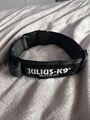 Julius K9 Halsband mit Haltegriff 49-70 cm Klettlogo