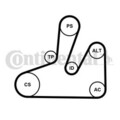 CONTINENTAL CTAM Keilrippenriemensatz 6PK1740K4 für CITROËN FIAT LANCIA