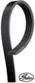 Gates 4PK914SF Keilrippenriemen Keilriemen für Ford für Ford usa 