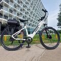 ESKUTE 26 Zoll Elektrofahrrad Damen E-Bike mit Bafang Motor  20AH Akku 7 Gänge