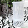 Automatischer Tauben Wasserspender Klarwassertopf Behälter für Papageienliebhaber
