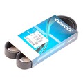 DAYCO 6PK900 Keilrippenriemen für VW Golf V Schrägheck (1K1) GOLF VI (5K1)