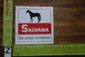 Alter Aufkleber Pferde Reitsport Reiten Reitkleidung Zubehör Nahrung SALVANA (ZB