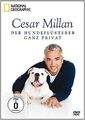 Cesar Millan - Der Hundeflüsterer - National Geographic | DVD | Zustand sehr gut