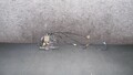 1Y180-073 Mercedes W211 E Klasse Türschloss Schloss HR Keyless Go A2117301035 