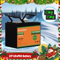 Akku 12V 100Ah LiFePO4 Lithium Batterie 100A BMS für Wohnmobil AutomobilBatterie