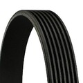 CONTINENTAL CTAM Keilrippenriemen 7PK1335 passend für FIAT MERCEDES-BENZ OPEL