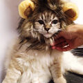Kostüm für Katzen Dog Löwenmähne Mähne Perücke Party Karneval Dog Lion Mane NJP