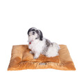 Armarkat Tierbett Matte, Hund Gitterbox Weich Pad W Poly Füllung Kissen Earth