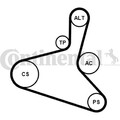 ContiTech 6DPK1195K2 Keilrippenriemensatz für VW SEAT FORD SKODA AUDI