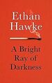 A Bright Ray of Darkness von Hawke, Ethan | Buch | Zustand gut