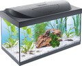 Tetra Starter Line 54 L Aquarium Komplett-Set: LED-Beleuchtung, Filter, Heizer