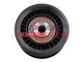 FAST FT44203 Umlenk-/Führungsrolle, Keilrippenriemen für DACIA,LADA,NISSAN,OPEL,