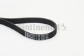 CONTINENTAL CTAM 6PK1538 Keilrippenriemen für BMW,FORD,HYUNDAI,OPEL,TOYOTA,VAUXH
