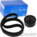 SKF KEILRIPPENRIEMEN-SATZ SPANNROLLE für 1.2 RENAULT CLIO I+II KANGOO TWINGO I