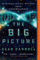 The Big Picture | On the Origins of Life, Meaning, and the Universe Itself