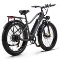 Elektrofahrrad 48V 20Ah Moped ebike 26 Zoll Offroad eBike 45km/h E-Mountainbike