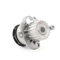 INA 538 0089 10 Kühlmittelpumpe Wasserpumpe für VW Golf IV Schrägheck (1J1)