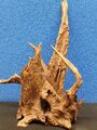 Mangroven Corbo Wurzel 30-40 cm Aquarium, Terrarium, Deko, echte Wurzel