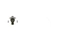 Bosch 1 462 C00 983 Regelventil, Kraftstoffmenge (Common-Rail-System)