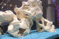 Aquarium-Deko  2 LOCHSTEINE  Felsen  Höhle  B/T/H: 18x11x15  Kein Plastik    