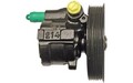 LIZARTE Servopumpe für RENAULT SCÉNIC MEGANE KANGOO 04.07.0100-5 - Mister Auto