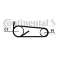 CONTINENTAL CTAM Keilrippenriemensatz 4PK922 ELAST T1 für TRANSIT FORD BOXER F3