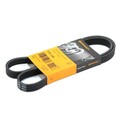 Continental ContiTech 5PK1145 Keilrippenriemen für FORD KA (RU8) für ROVER COUPE