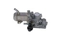AGR Ventil NRF 48207 für RENAULT JZ0 MEGANE BZ0 DZ0 SCÉNIC KZ0 CC EZ0 3 VAN dCi