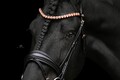 Trense Belfast Rosegold - WB - Equine Concept - italienisches Leder - NEU