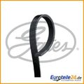 Keilrippenriemen Micro-V® GATES 4PK550 für Fiat