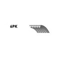 SNR CA6PK1220 Keilrippenriemen für FORD Focus II Schrägheck (DA, HCP, DP) 1220mm