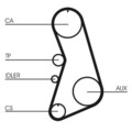Zahnriemen Satz für Audi VW A6 C5 Avant C4 Continental Ctam Ct919K1 1997-2004