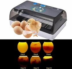 12 Eier Inkubator Vollautomatische Brutmaschine Brutapparat Flächenbrüter Brüte