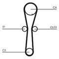 CONTINENTAL CTAM Zahnriemensatz  u.a. für HONDA, MG, ROVER