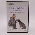 Cesar Millan Hilfe bei Problemhunden DVD Serie Hund Mensch Beziehung
