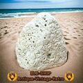 Aquarium Korallengestein-Fossil-Aus der Adria Meer #cool für jeden Tank 🙂 1,5kg