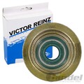 REINZ VENTILSCHAFTDICHTUNG passend für FORD ESCORT FIESTA MONDEO ORION